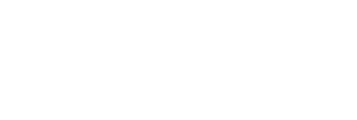 businesschicks2